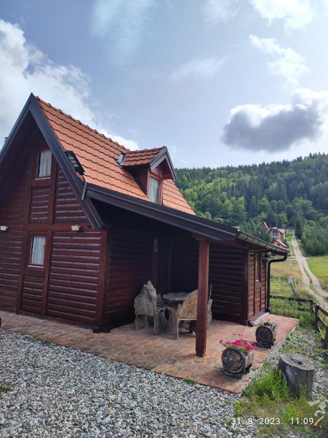 Vila Carobna Suma Tara Bajina Basta Exteriör bild