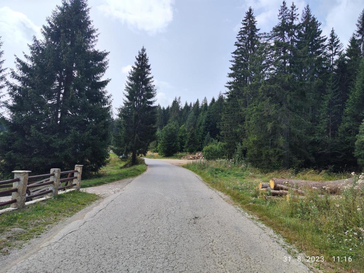 Vila Carobna Suma Tara Bajina Basta Exteriör bild