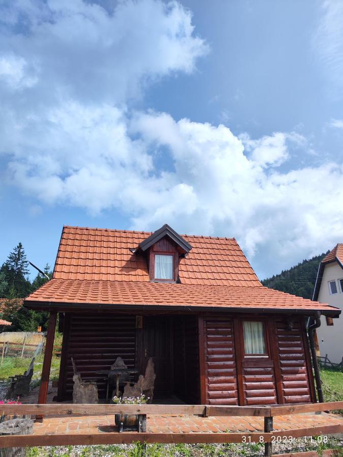 Vila Carobna Suma Tara Bajina Basta Exteriör bild